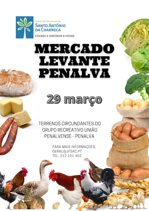 Mercado Levante Penalva
