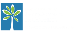 Santo Antonio Da Charneca Dark