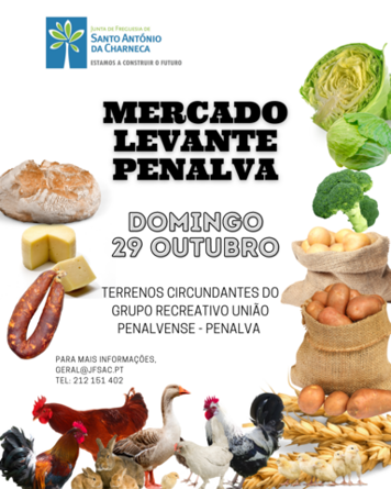 Mercado Levante Penalva